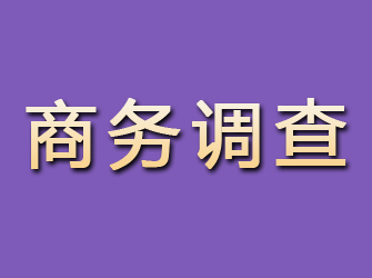 沙雅商务调查